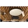 Image 5 : GROUP OF 5 LIGHTS. CEILING MOUNT. RETAIL $3820