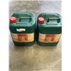 Image 1 : 2 JUGS OF HOUSE AND GARDEN SOIL A  PLANT FOOD, 20 LITRES EACH