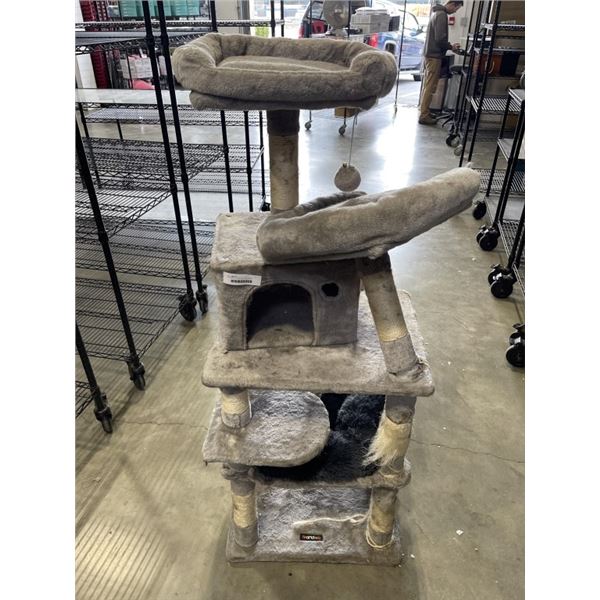 FEANDREA  57 INCH TALL CAT CONDO