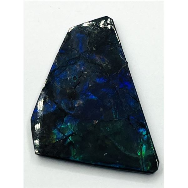 NATURAL GEMSTONE AMMOLITE (23.70CT), W/A $1615.00.