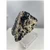 Image 2 : 10 X 9 INCH BLUE BERRY  ON MATRIX ON STAND