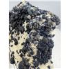 Image 7 : 10 X 9 INCH BLUE BERRY  ON MATRIX ON STAND