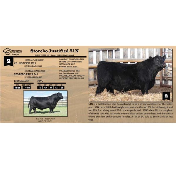 Storebo Justified 51N