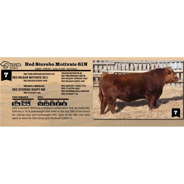 Red Storebo Motivate 61N