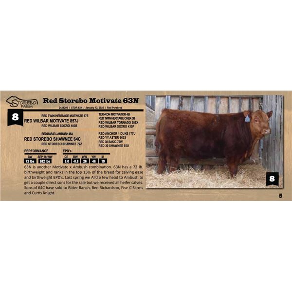 Red Storebo Motivate 63N