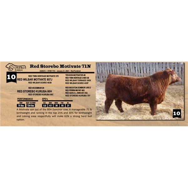 Red Storebo Motivate 71N