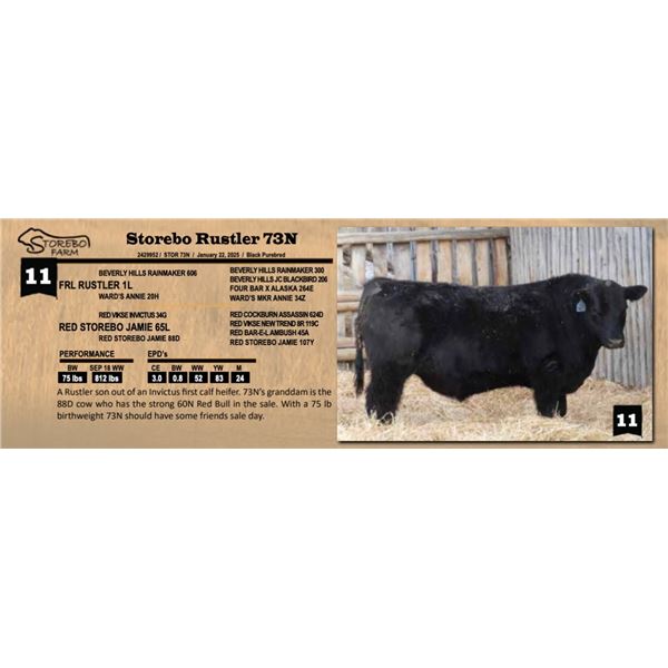 Storebo Rustler 73N