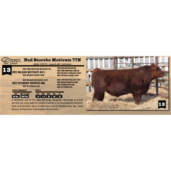Red Storebo Motivate 77N