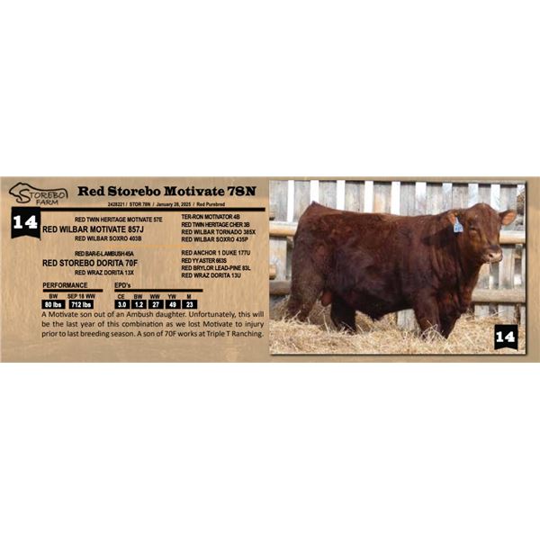Red Storebo Motivate 78N