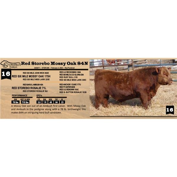 Red Storebo Mossy Oak 84N