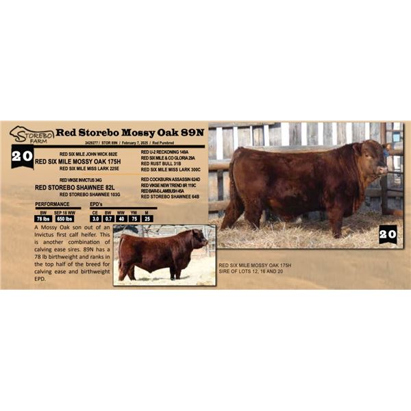 Red Storebo Mossy Oak 89N