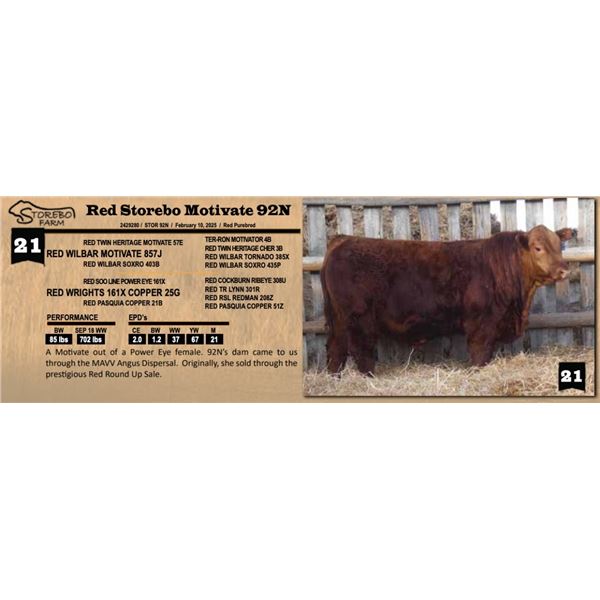 Red Storebo Motivate 92N