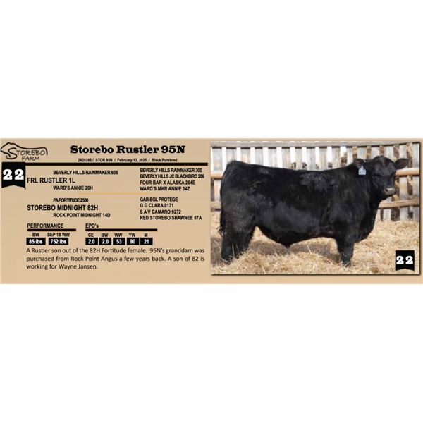 Storebo Rustler 95N