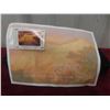 Image 1 : 1994 Grand Canyon 75th Anniversary $10 Stamp and Post Card