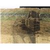 Image 7 : 4 World Currency Bills – Egypt and Cyprus