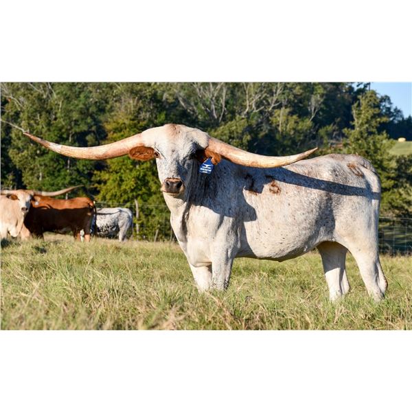 Fen - Wac Double Trouble