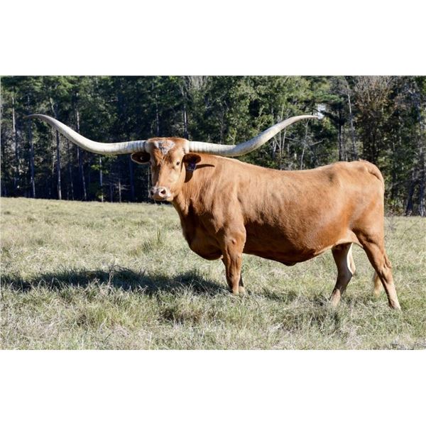 HUBBELLS CATCHIT MAID