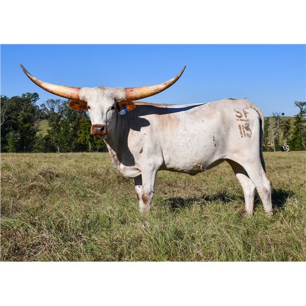 SF Fit to be a Queen