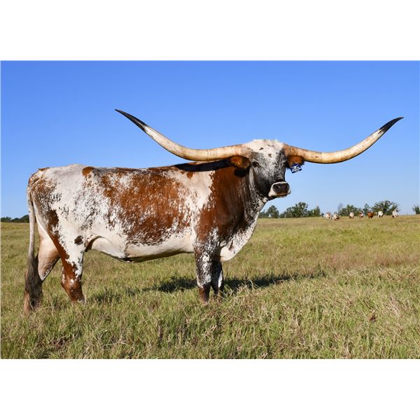 BCR Amor de Leches 046