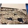 Image 2 : (4) Rexroth #R980802839 / #13496159 Flat Top Chain Drive Conveyor Units