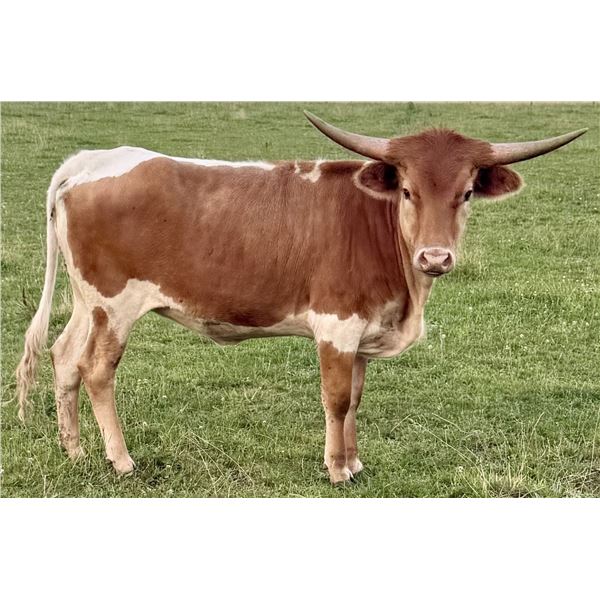 LBR GLITTERS LIKE GOLD