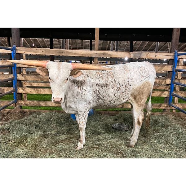 CLASS WINNER: WHR Country Sprinkles