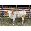 Image 1 : CLASS WINNER: WHR Country Sprinkles