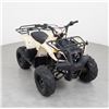 Image 1 : Tao Tao ATV