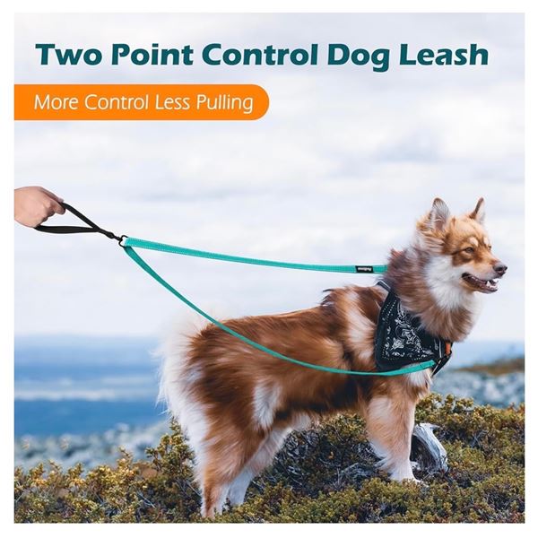 NEW Group of 15 PetroBonus Turquoise 24" Pet Collar (Bin is not included)