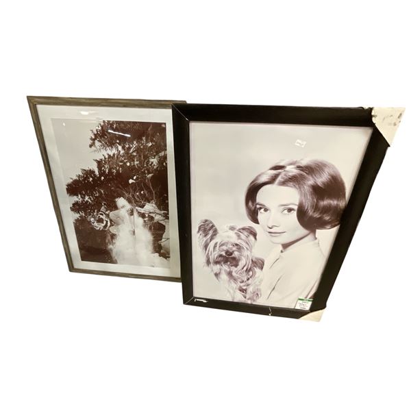 Group of 2 Art Frames - approx. 40" x 28" each