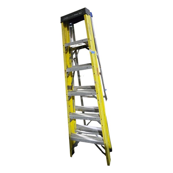 Group of 2 Ladders