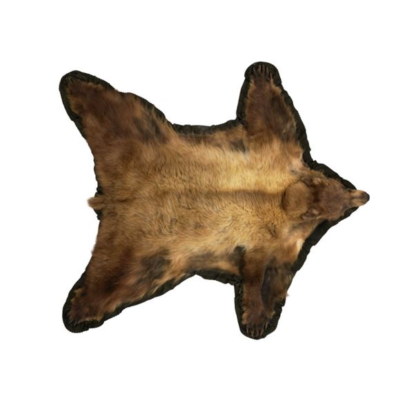 Montana Cinnamon Black Bear Hide Rug Taxidermy