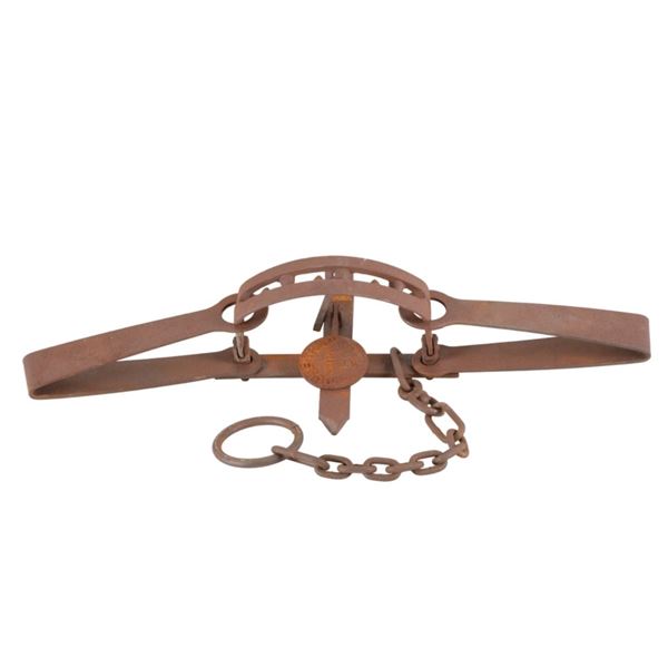 Duke Trap #15 Bear D Double Spring Bear Trap