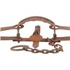 Image 3 : Duke Trap #15 Bear D Double Spring Bear Trap