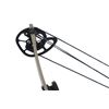 Image 6 : Vintage Darton Compound Bow & Easton Arrows