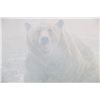 Image 4 : R. Bateman Lim. Ed. Print "End of Season Grizzly"