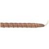 Image 6 : Chippewa/ Cree Many Trails Turtle Dancing Stick