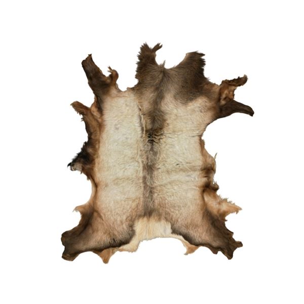Large Tanned Alaskan Caribou Hide