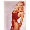 Image 1 : Pamela Anderson photo