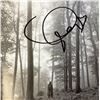 Image 1 : Folklore Taylor Swift facsimile signed  photo