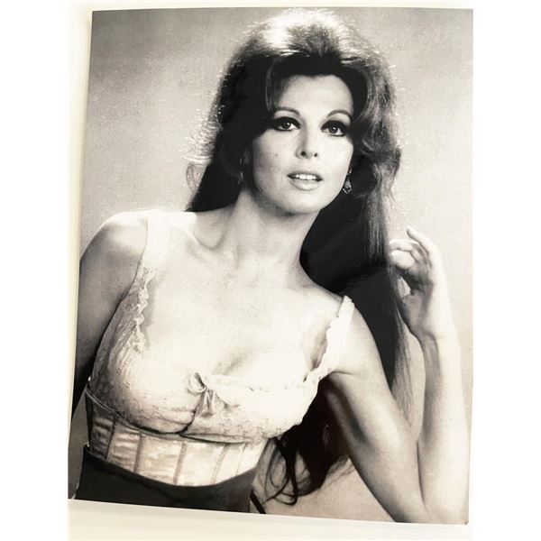 Tina Louise photo