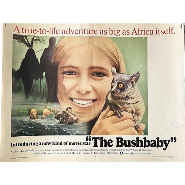 The Bushbaby 1969 vintage movie poster
