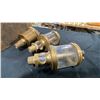 Image 4 : PAIR OF VINTAGE BRASS SIGHT GLASS OILERS & VINTAGE BRASS GREASE CUP