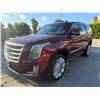 Image 1 : CADI ESCALADE 2017 O/S TITLE 2 DAYS