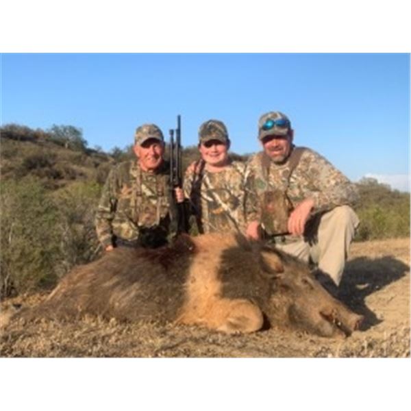 Pig Hunting