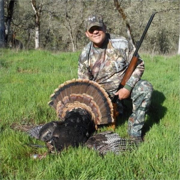 Wild Pig & Turkey Hunt for One Hunter
