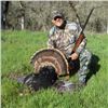 Image 1 : Wild Pig & Turkey Hunt for One Hunter