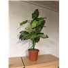 Image 1 : Artificial plant