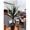 Image 1 : Artificial plant