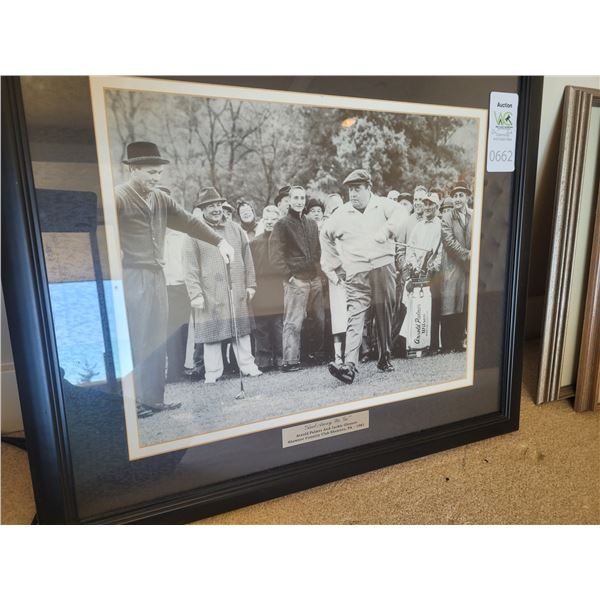 Framed Print and Photo Cat B